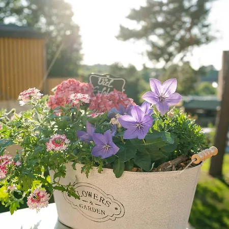 Casa de hóspedes Waldidylle Gohrisch, & Garni, Saechsische Schweiz