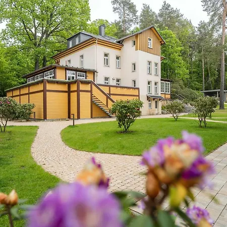 Waldidylle Gohrisch, Und Guest house